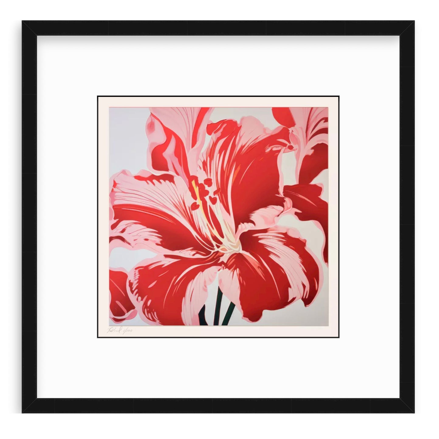 Amaryllis In Red