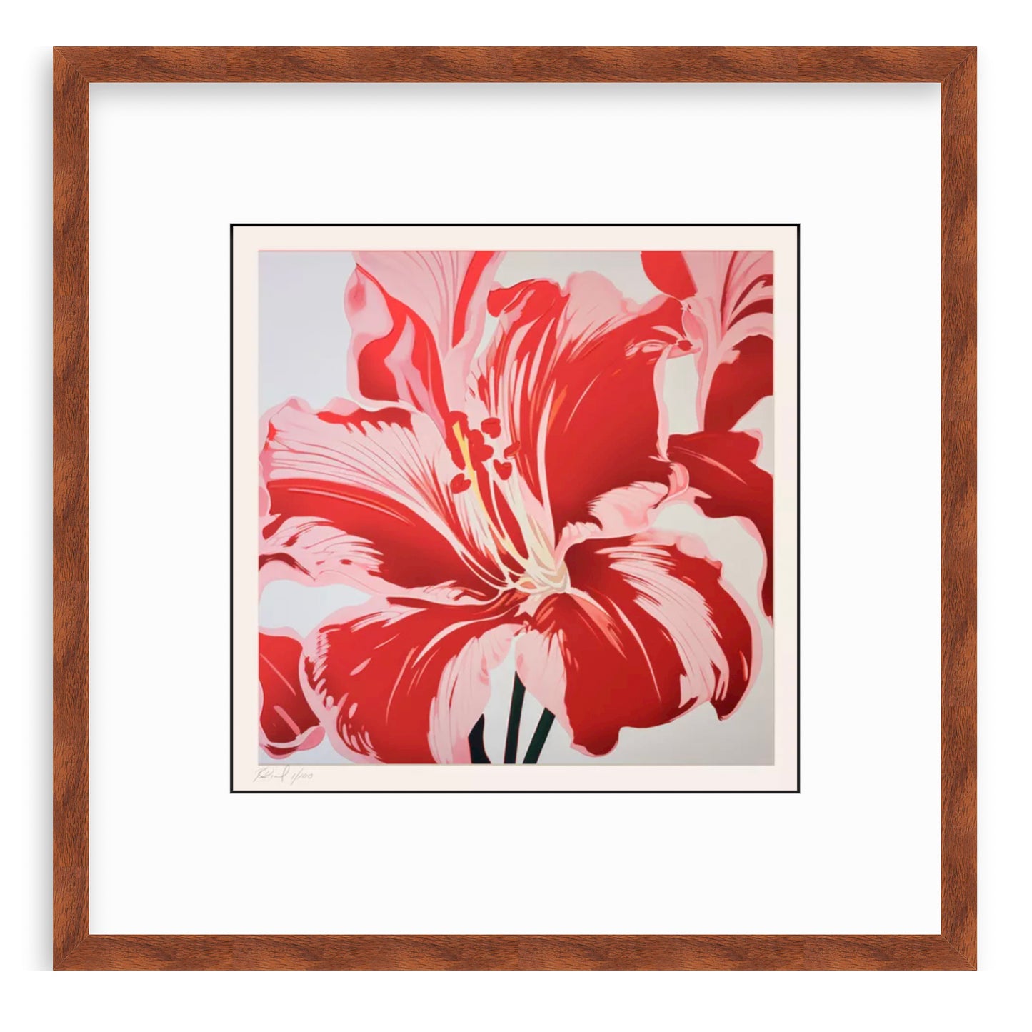 Amaryllis In Red